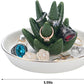 Aloe Cactus Ceramic Jewelry Holder Dish
